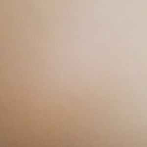 Meet your Posher, Rayan